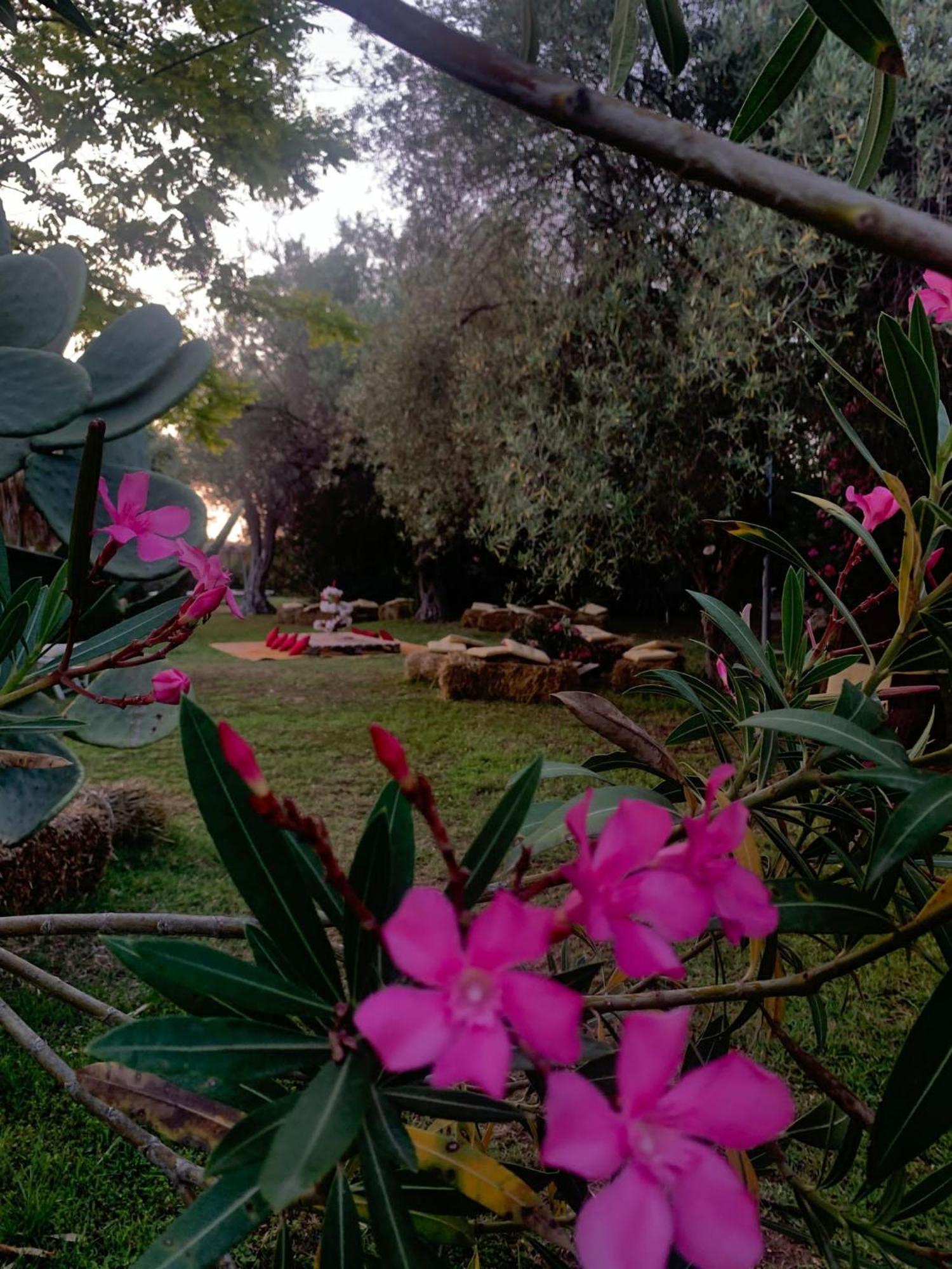 פונטנה ביאנקה Valle Di Mare Country Resort מראה חיצוני תמונה